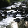 lothersdale beck