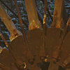 lothersdale mill wheel